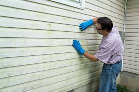 Best Vinyl Siding Installation  in , NV